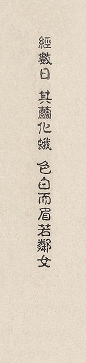 蚕娘记岳阳、虞燕燕（浙江）55*30cm*10