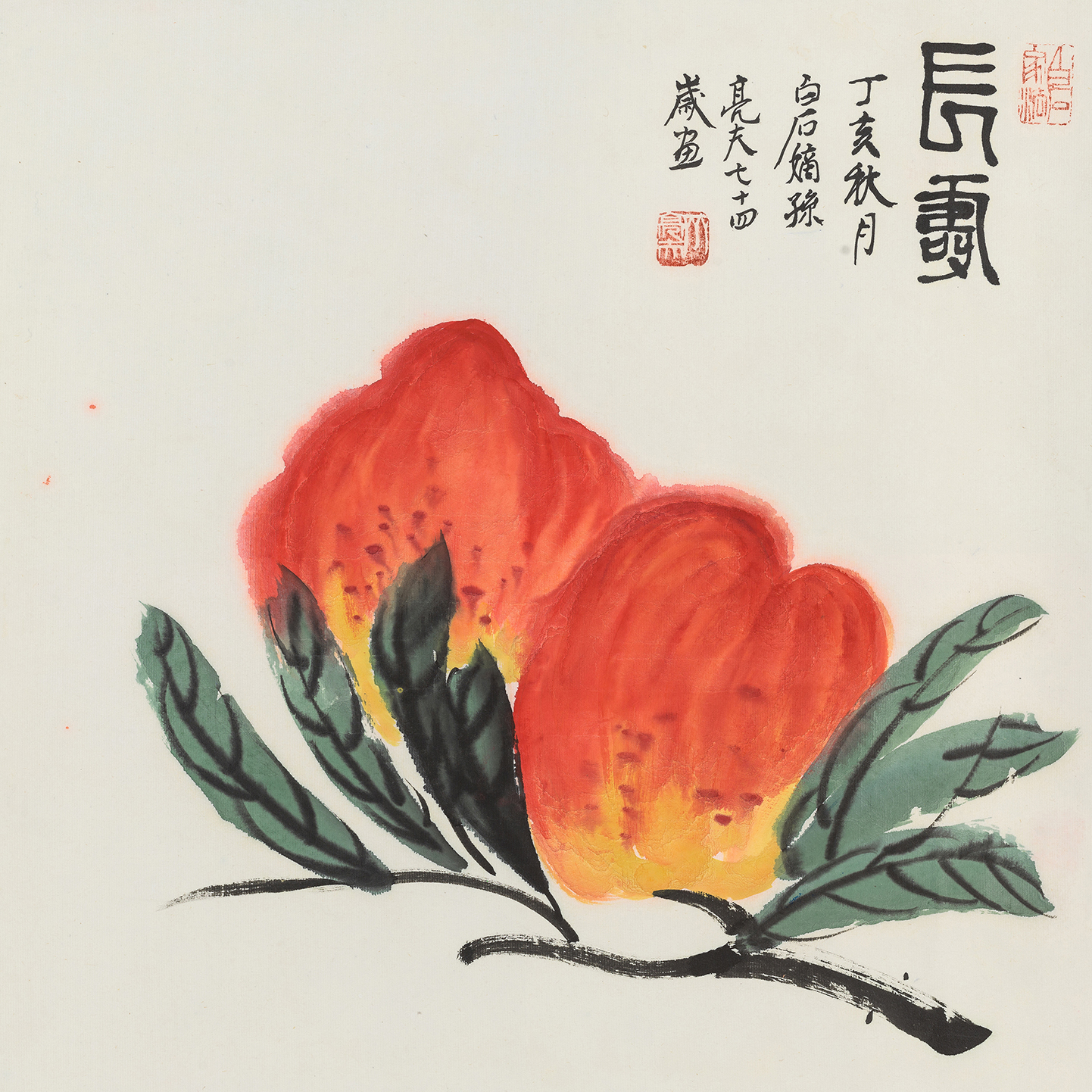长寿 YC134