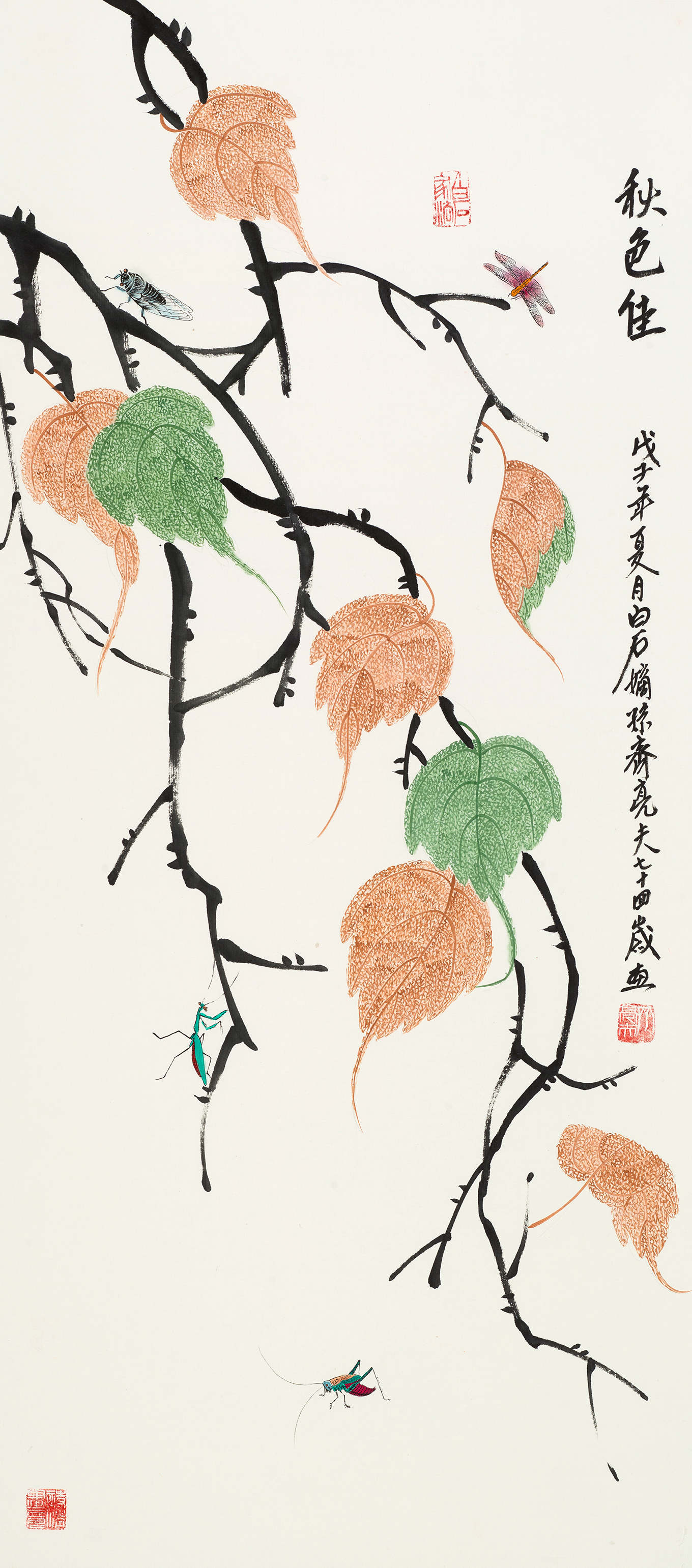 秋色佳 YC150