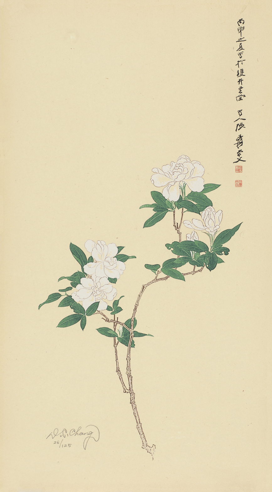 栀子花26/125