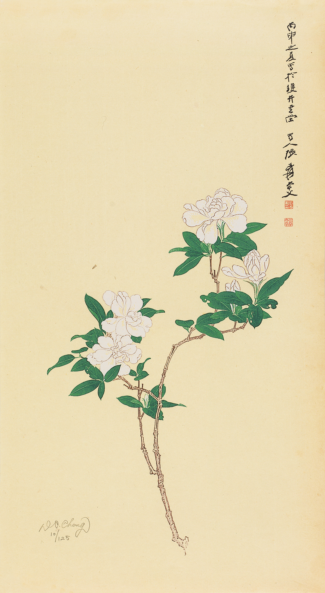 栀子花10/125