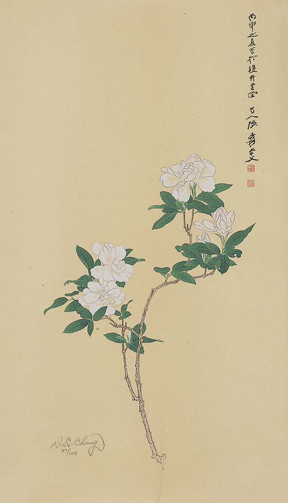 栀子花开37/125