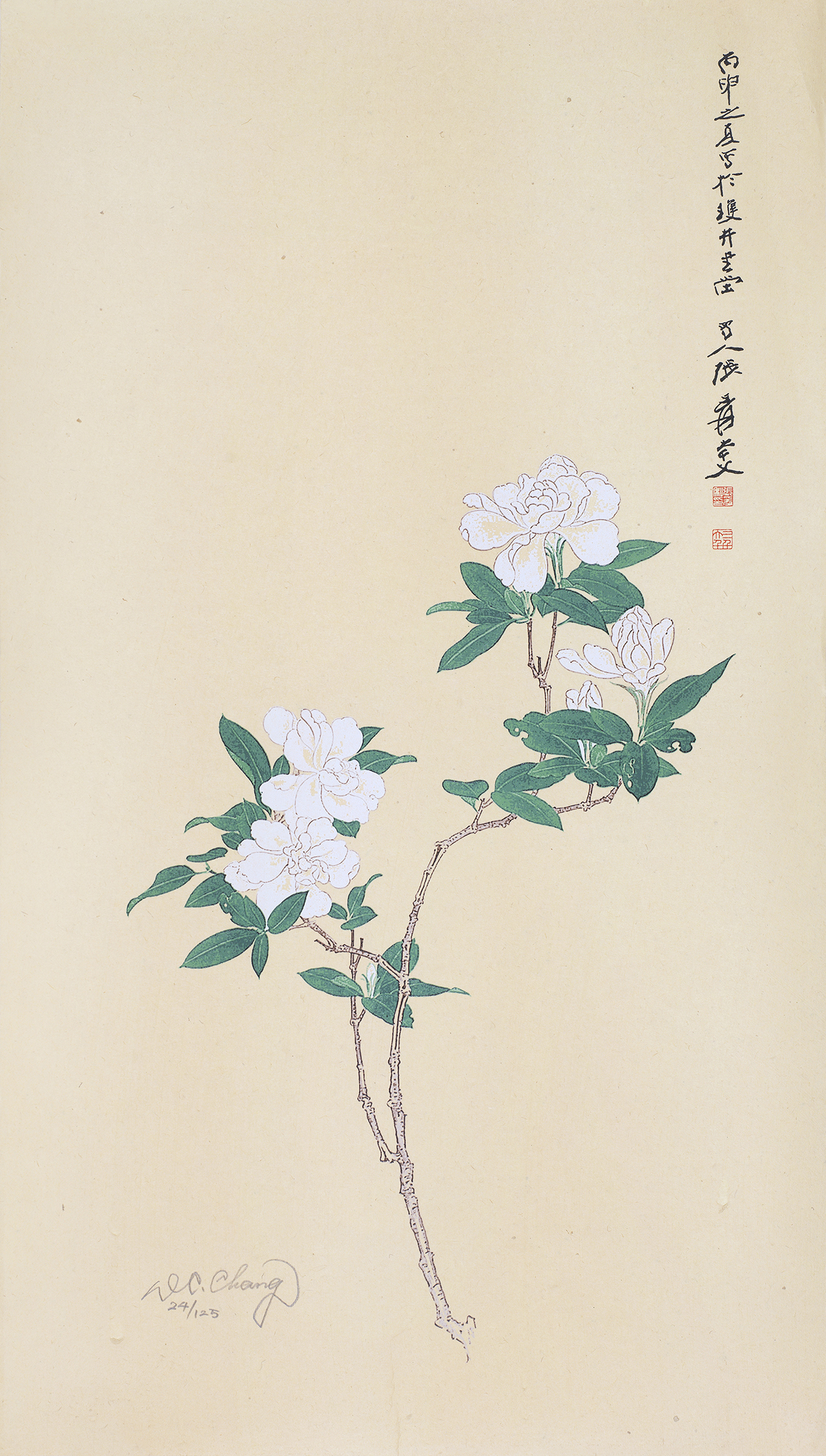 栀子花开24/125