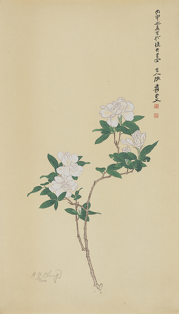 栀子花开117/125