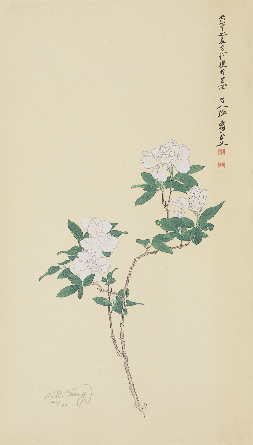 栀子花开41/125