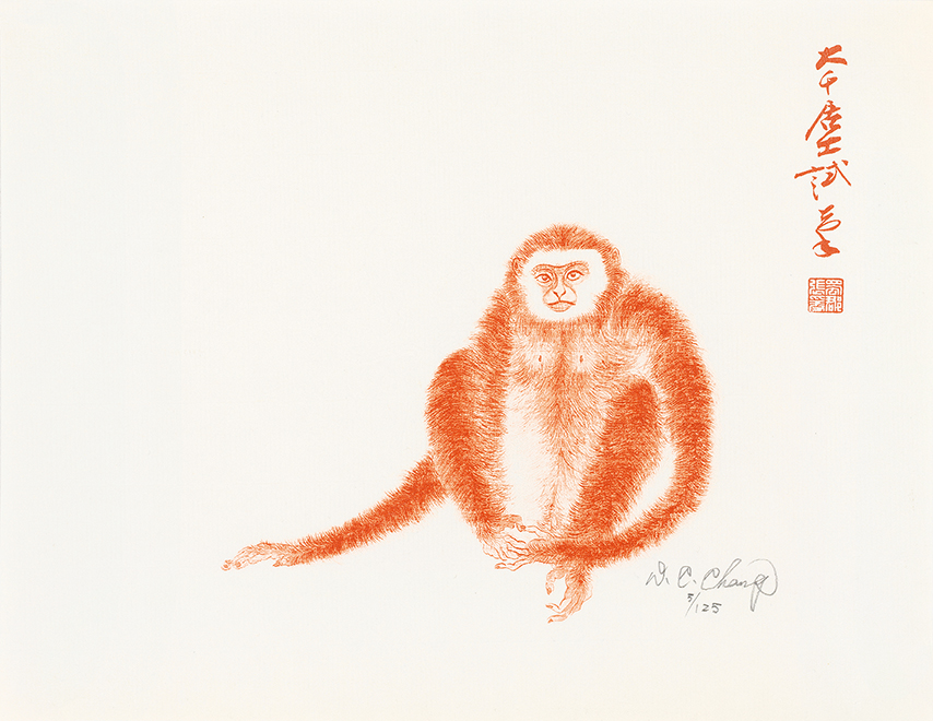 猿5/125