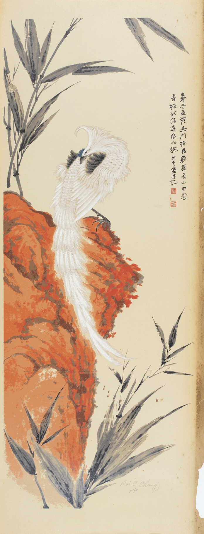 丹山白凤PP