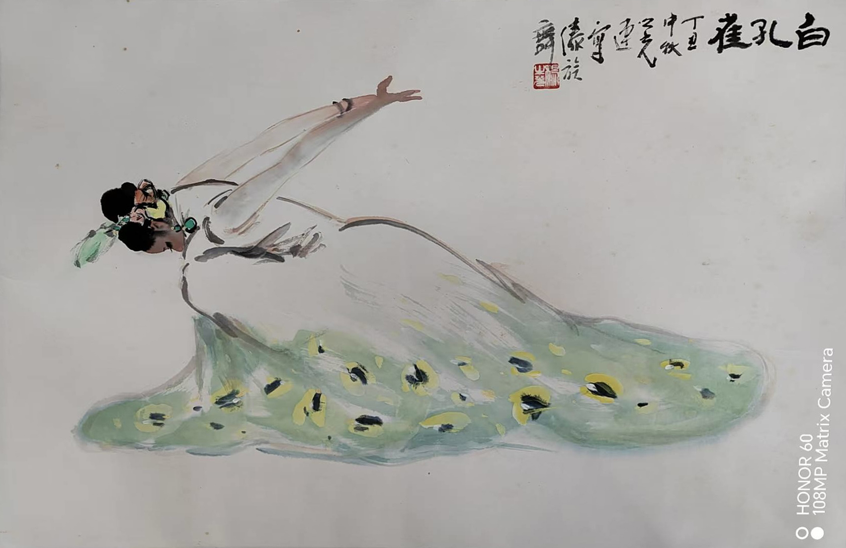 白孔雀