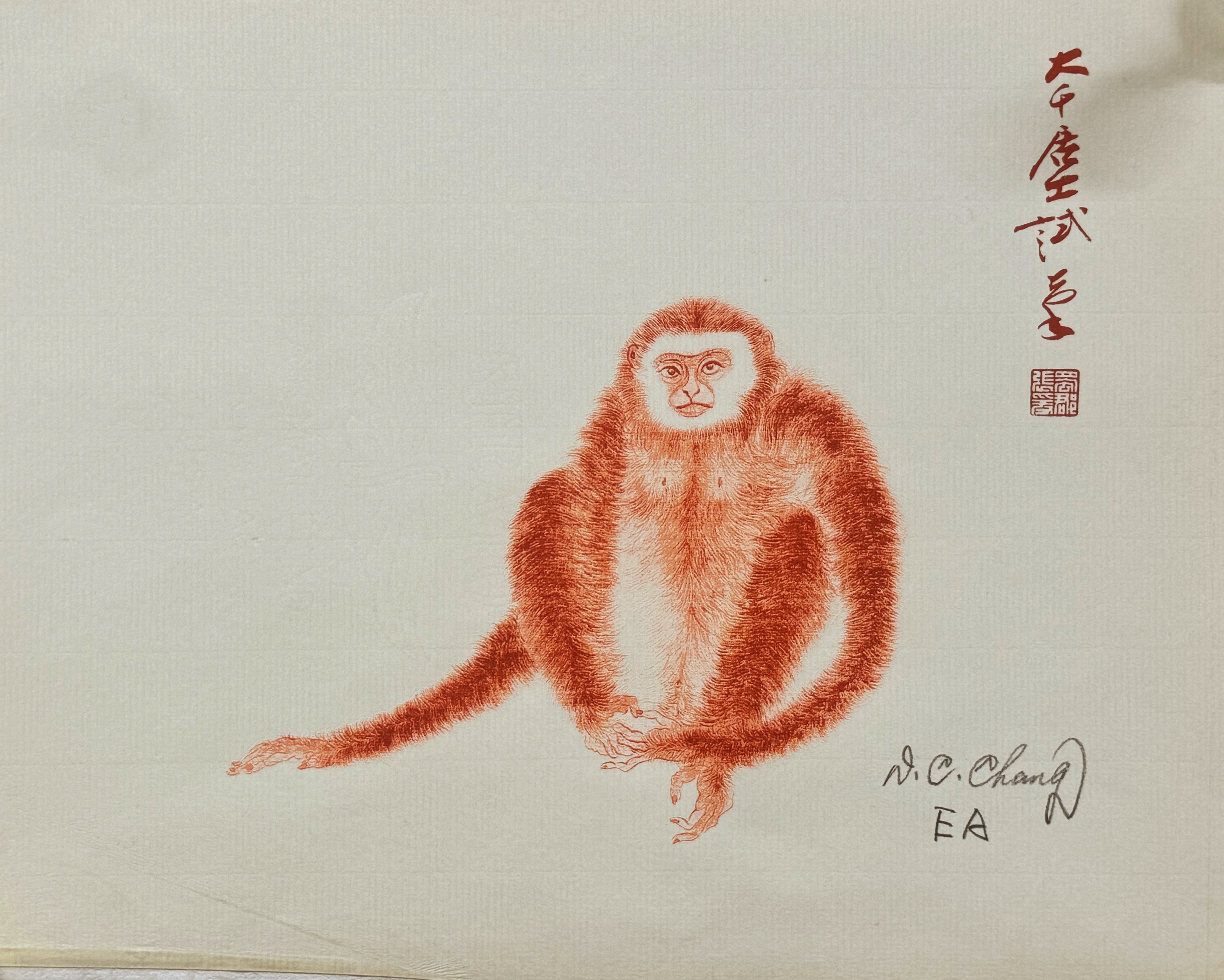 朱砂猿EA