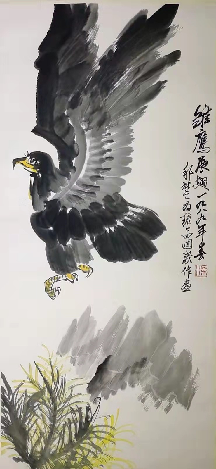 梁邦楚雏鹰