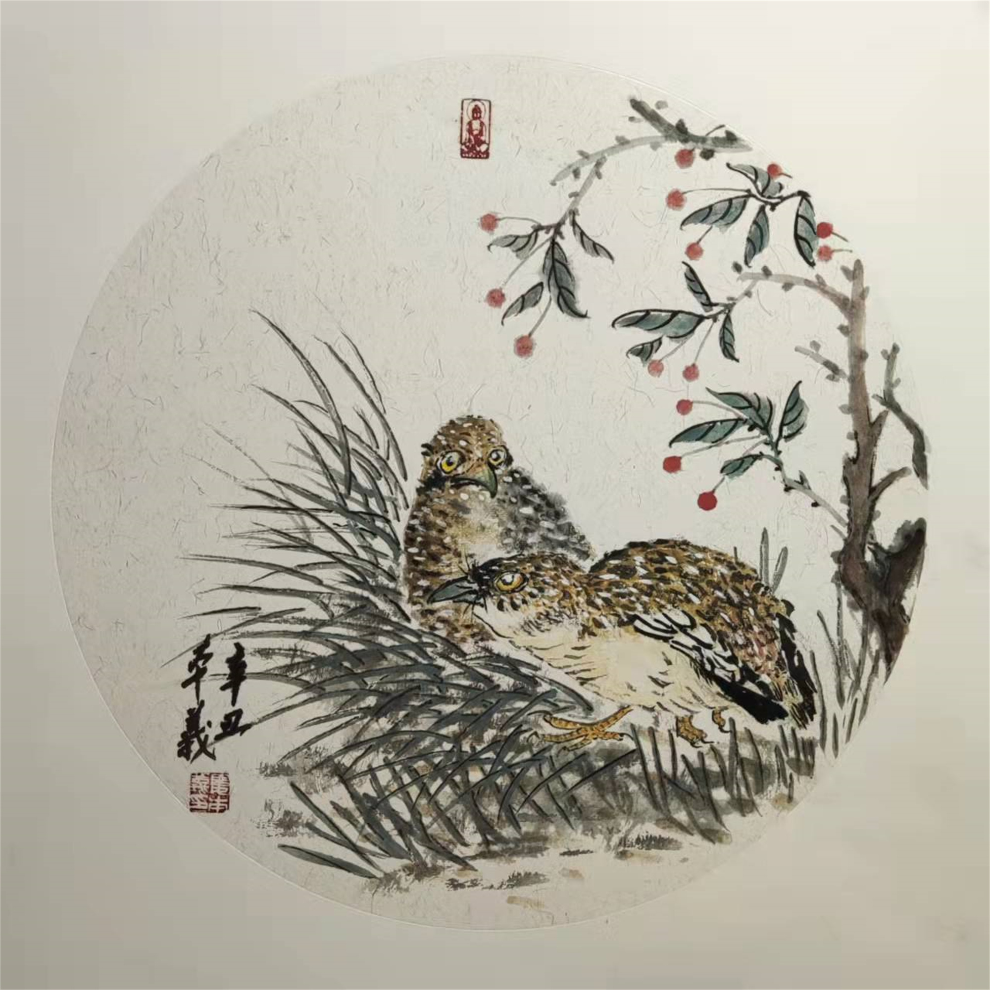鹌鹑