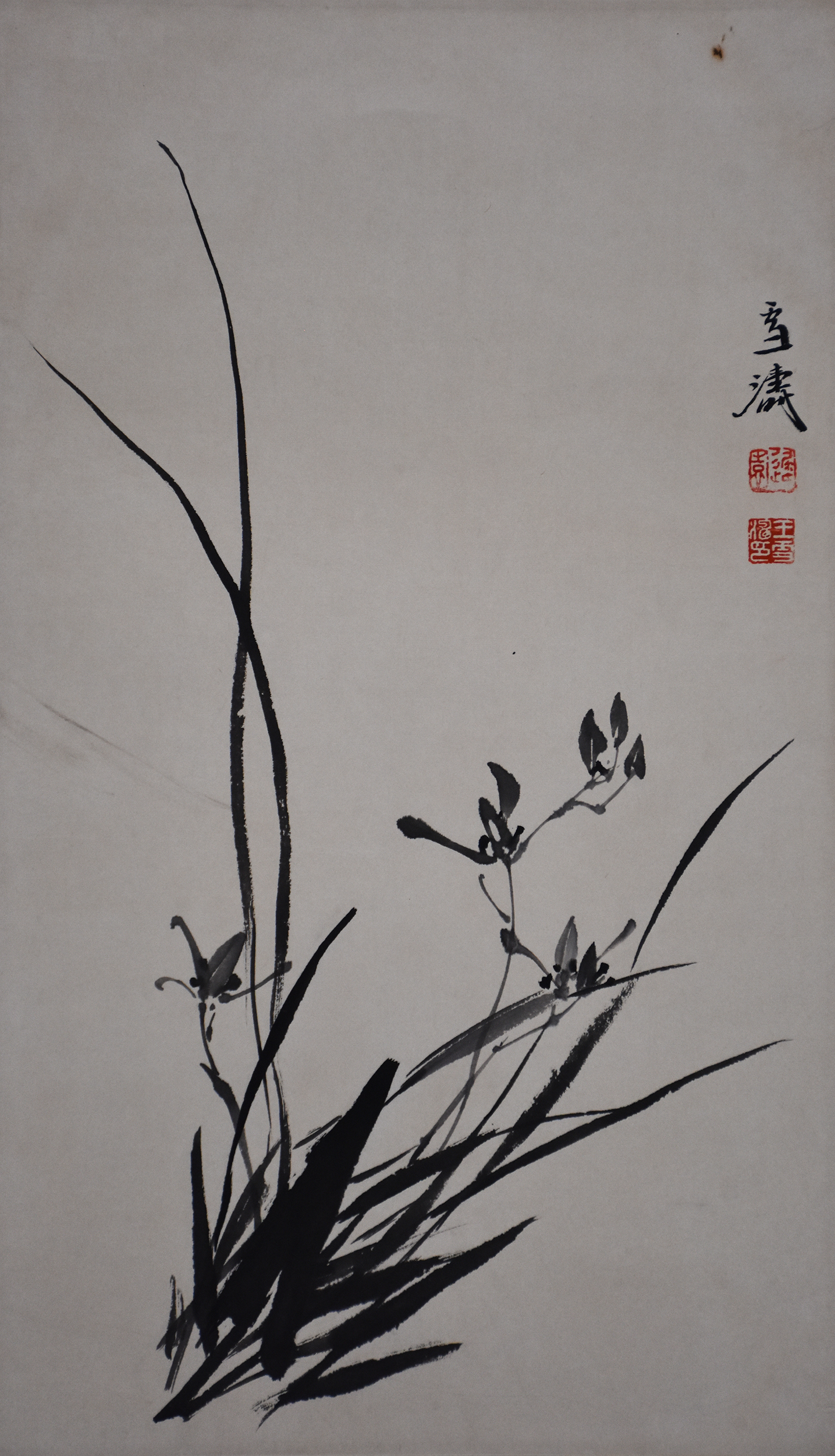 王雪涛兰花国画精品图片