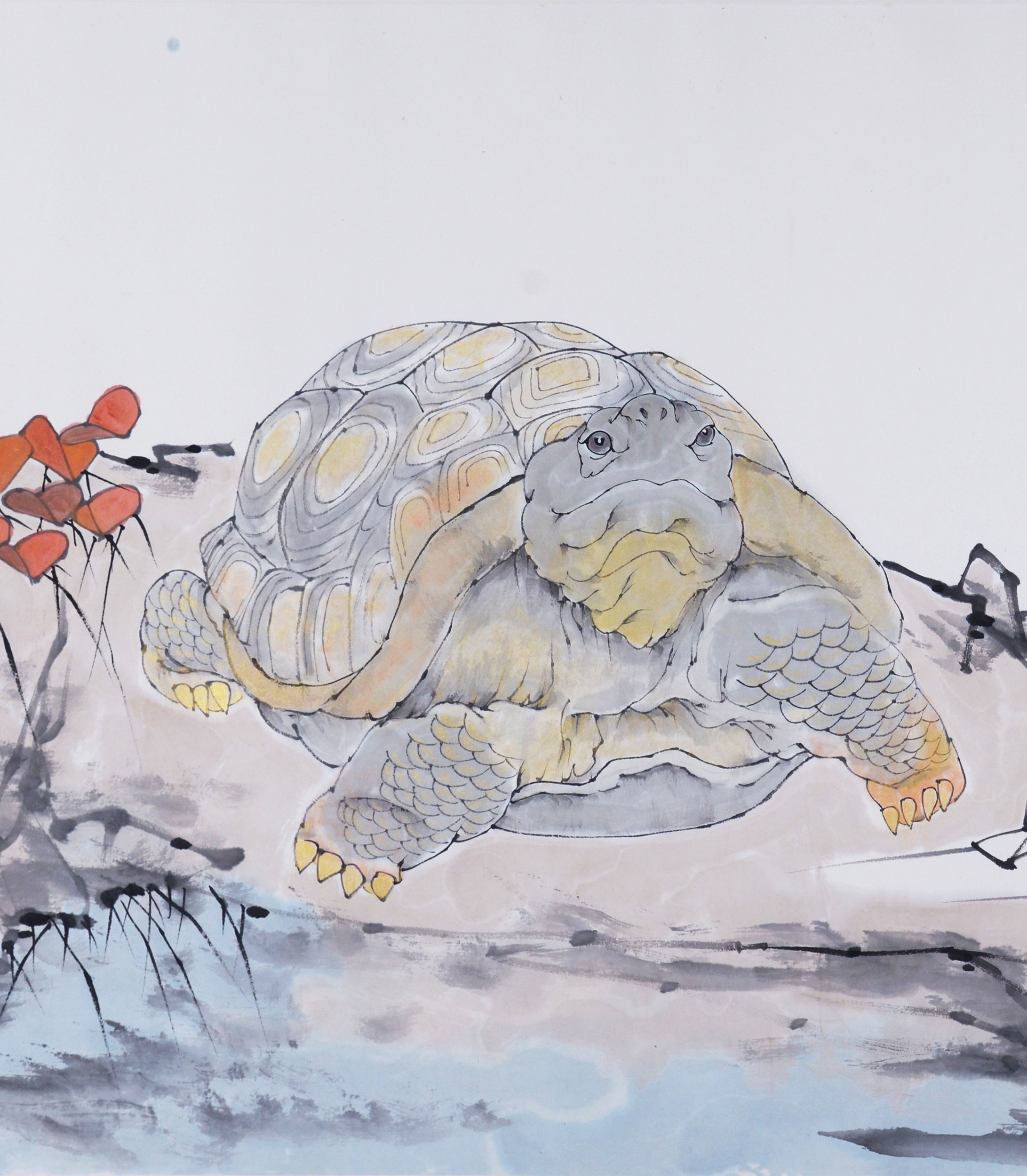龙龟工笔画图片